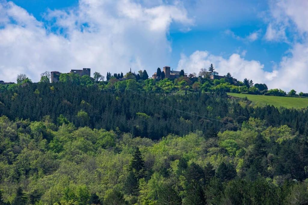 Villa Blanche, Contemporary, Cathars, Couiza, Carcassonne Exteriör bild
